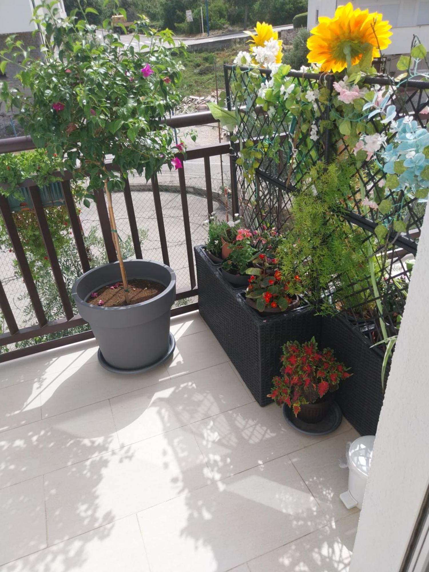 Apartmani Liberan Neum Extérieur photo